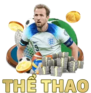 Chương trình hoàn trả và đặc quyền VIP
